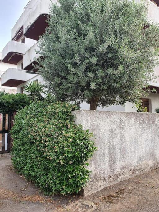 ççç Holiday Properties Le Vele ççç Montalto di Castro Exterior foto