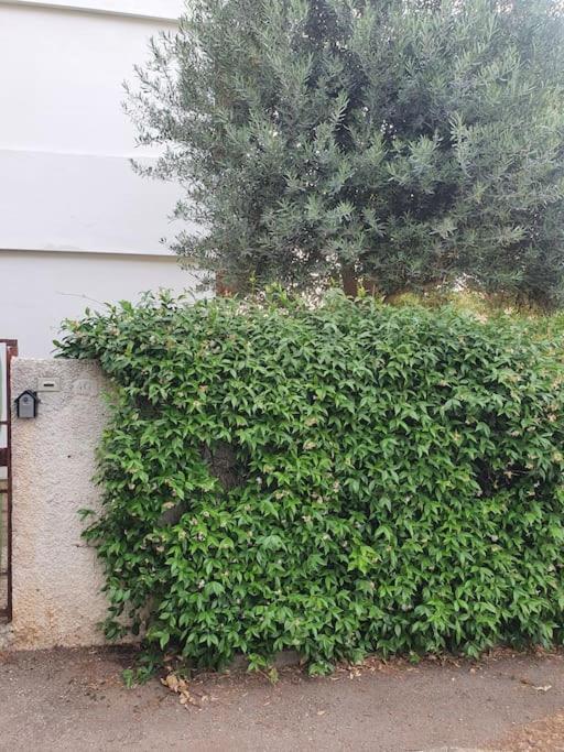 ççç Holiday Properties Le Vele ççç Montalto di Castro Exterior foto